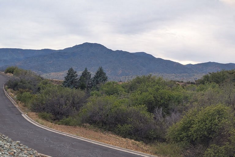 Arizona high desert with Mingus Mountain in background.